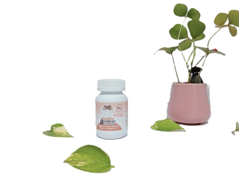 皮毛保健 新代謝B群